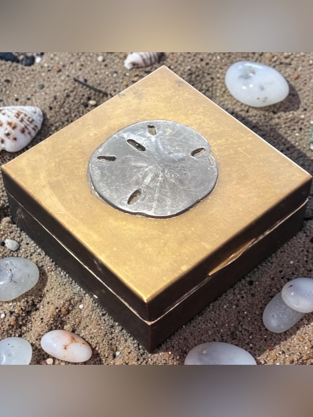 Vintage Brass Hinged Trinket Box with Pewter Sand Dollar by Metzke
